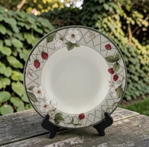 Mikasa "Strawberry Fair" Stoneware 9" Bowl NEW! 1990s Intaglio Style